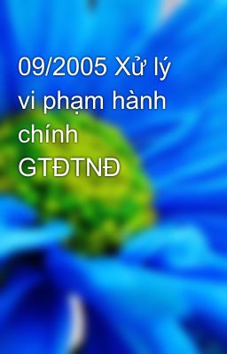 Đọc Truyện 09/2005 Xử lý vi phạm hành chính GTĐTNĐ - Truyen2U.Net