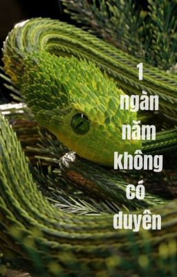 Đọc Truyện 1 ngàn năm không có duyên - Truyen2U.Net