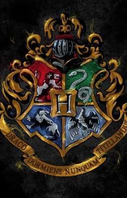 (12CS) Our Hogwarts