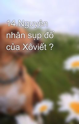 14.Nguyên nhân sụp đổ của Xôviết ?