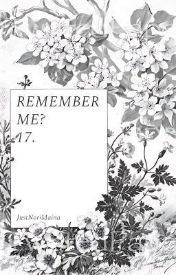 [17:00] MIDSOMMER | Remember Me?