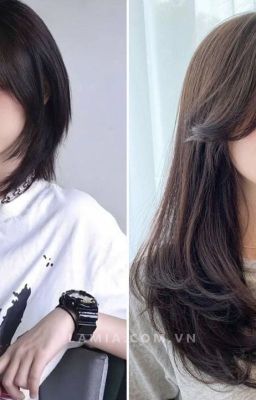 35 kiểu tóc Mullet Layer nữ đẹp cá tính hợp mọi khuôn mặt