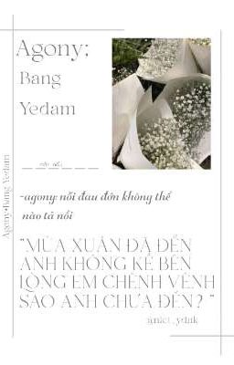 agony;bang yedam