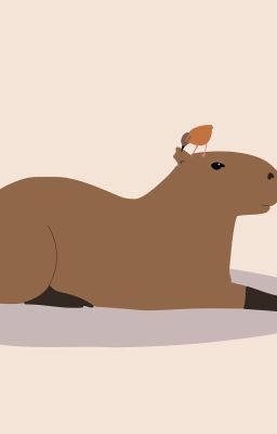 [Alexibi] Capybara