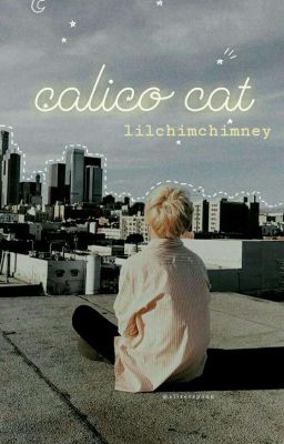 [allmin] calico cat