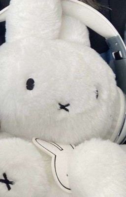 AllNagi • | • Ice Bear