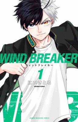 [ AllSakura - Wind Breaker ] Fanfic dịch