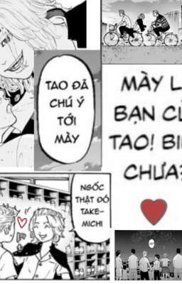 [Alltake] chú mèo nhỏ.