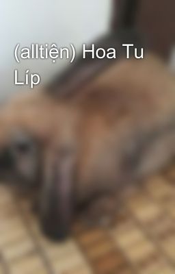 (alltiện) Hoa Tu Líp