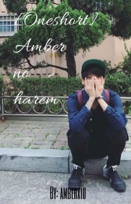 Đọc Truyện Amber no harem - Truyen2U.Net