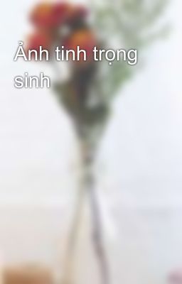 Ảnh tinh trọng sinh