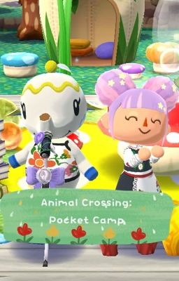 Animal Crossing: Pocket Camp Vietnam