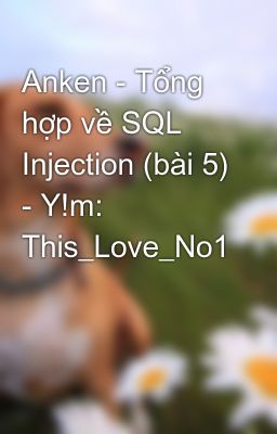 Anken - Tổng hợp về SQL Injection (bài 5) - Y!m: This_Love_No1