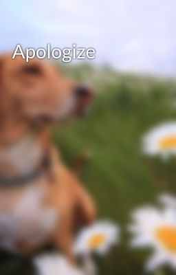 Apologize