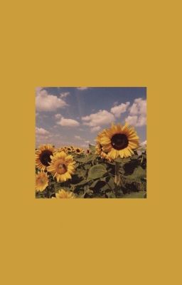 [AtsuHina] Sunflower