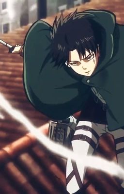 (Attack On Titan đồng nhân) Cô vợ nuôi từ nhỏ nhà Ackerman 