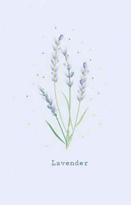 Đọc Truyện [Bác Chiến] Lavender - Truyen2U.Net