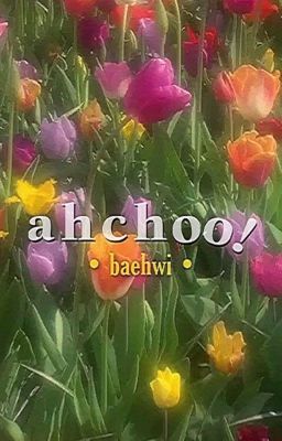 Đọc Truyện baehwi | ahchoo! - Truyen2U.Net