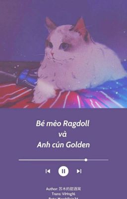 Bé mèo Ragdoll và anh cún Golden
