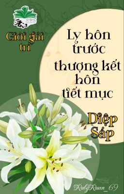 [BHTT] [QT] Ly Hôn Trước Thượng Kết Hôn Tiết Mục - Diệp Sáp