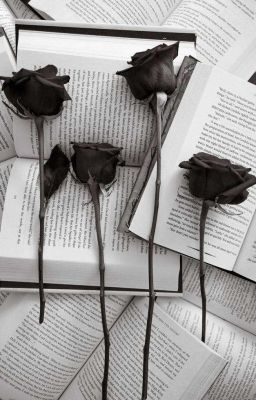 Đọc Truyện Black Roses  - Truyen2U.Net
