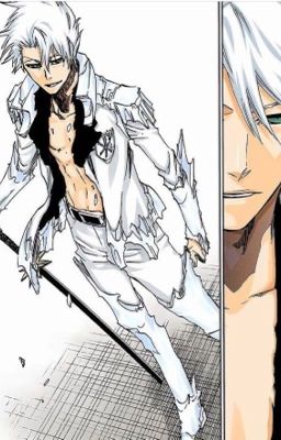 | Bleach | Another Story