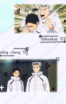 [bokuto x akaashi] sống chung 