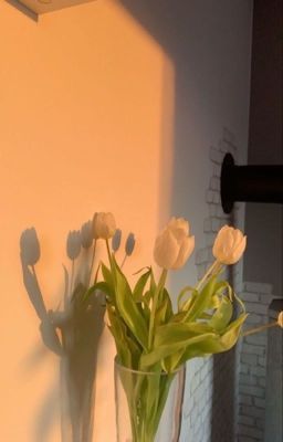 Bông hoa Tulip của Chị