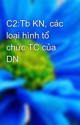 C2:Tb KN, các loại hình tổ chức TC của DN