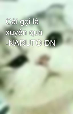 Cái gọi là xuyên qua -NARUTO ĐN