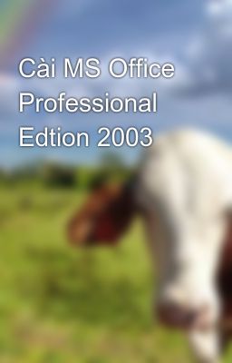 Cài MS Office Professional Edtion 2003