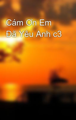 Cám Ơn Em Đã Yêu Anh c3