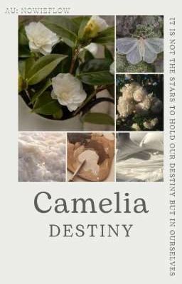 camelia - destiny