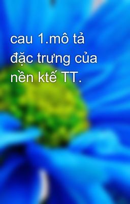 cau 1.mô tả đặc trưng của nền ktế TT.