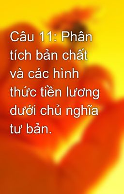 Câu 11: Phân tích bản chất và các hình thức tiền lương dưới chủ nghĩa tư bản.