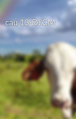 cau 13-DLCM