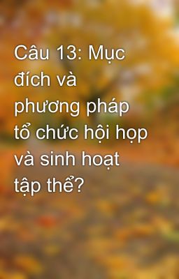 Đọc Truyện Câu 13: Mục đích và phương pháp tổ chức hội họp và sinh hoạt tập thể? - Truyen2U.Net