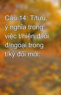 Câu 14: T/tựu, ý nghĩa trong việc t/hiện đ/lối đ/ngoại trong t/kỳ đổi mới: