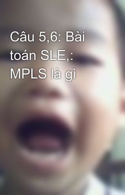 Câu 5,6: Bài toán SLE,: MPLS là gì