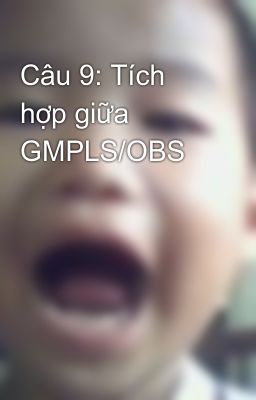 Câu 9: Tích hợp giữa GMPLS/OBS