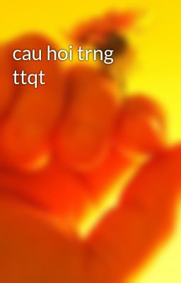 cau hoi trng ttqt