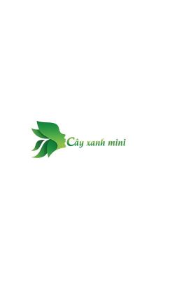 Cây lưỡi hổ hợp mệnh gì