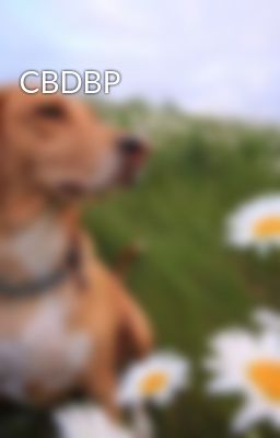 Đọc Truyện CBDBP - Truyen2U.Net