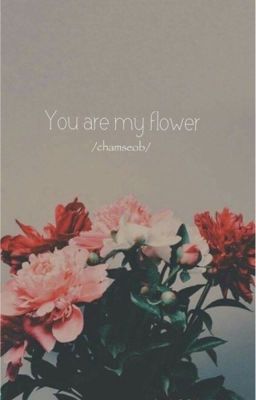 Đọc Truyện [ CHAMSEOB/JINSEOB ]  You are my flower - Truyen2U.Net