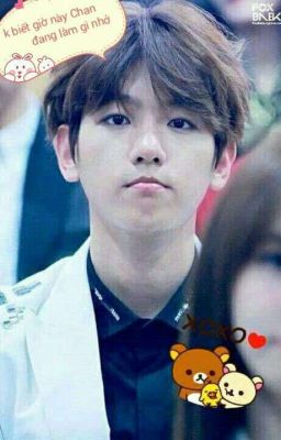 [CHANBAEK VER] Nuôn chiều bảo bối : Nô lệ tình yêu của báo Vương