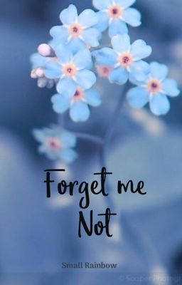 |CHEOLHAN| SEVENTEEN: FORGET ME NOT