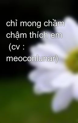 chỉ mong chầm chậm thích em  (cv : meoconlunar)