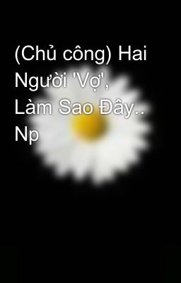 (Chủ công) Hai Người 'Vợ', Làm Sao Đây.. Np