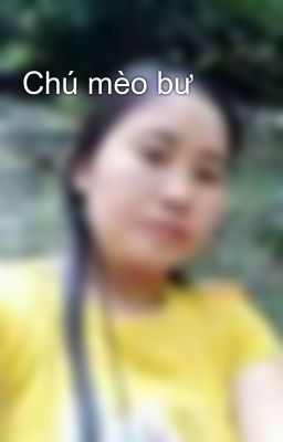 Chú mèo bư