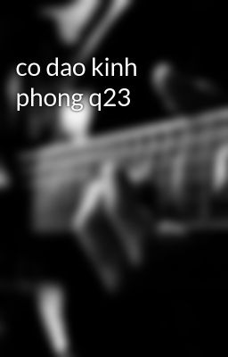 co dao kinh phong q23